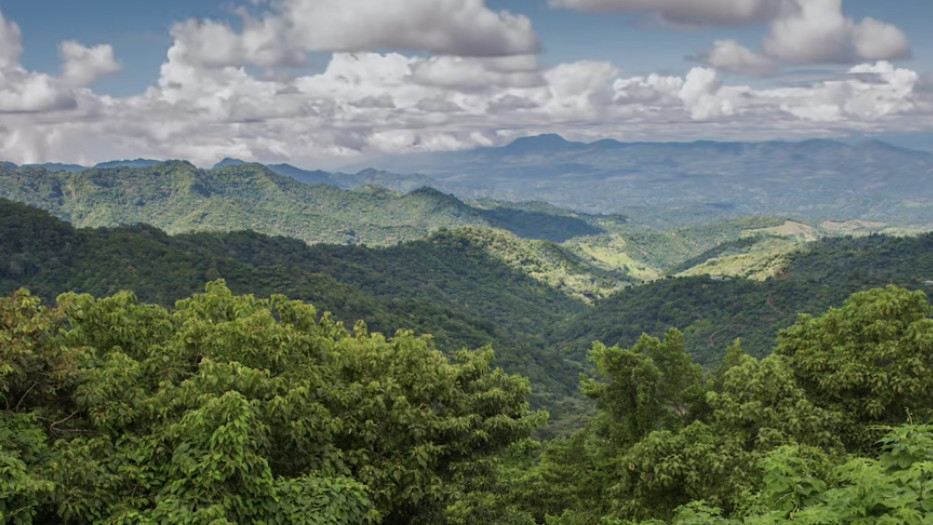 Vista de las montañas costarricenses desde nuestro campo de café agroforestal